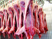 Avanza acuerdo con China para exportar 9 millones de toneladas de carne de cerdo