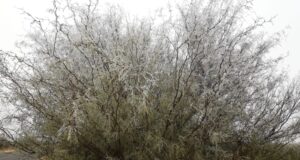 Jornada muy fría en la provincia de San Luis