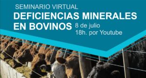 Anuncian seminario virtual sobre «Deficiencias minerales en bovinos»