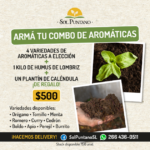Aromaticas-630×630