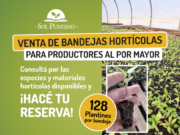 Sol Puntano comienza junio con nuevas entregas de sus productos a domicilio
