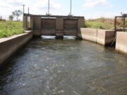 San Luis: comenzó la limpieza del canal matriz de Renca-Santa Rosa y estará cortado por 20 días