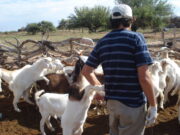 Crean un programa de asistencia crítica para la agricultura familiar