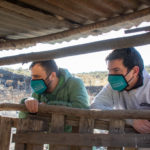 Entregas-de-Cerdos-13