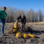 Entregas-de-Cerdos-14