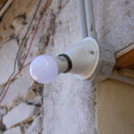 Entregas-de-Cerdos-17