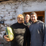 Entregas-de-Cerdos-18