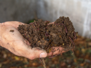 Las plantas aromáticas y el humus orgánico se suman a las ofertas de Sol Puntano