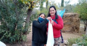 Bolsones de verduras de la Agricultura Familiar en Luján, Alem y San Francisco