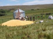 Productores de El Arenal llenaron el silo comunitario