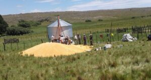 Productores de El Arenal llenaron el silo comunitario