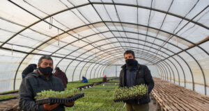 “Sol Puntano” comenzó con la entrega de bandejas hortícolas a municipios y productores