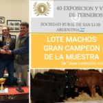 WhatsApp Image 2020-06-15 at 12.31.40