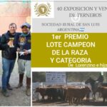 WhatsApp Image 2020-06-15 at 12.32.28