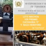 WhatsApp Image 2020-06-15 at 12.33.15 (2)