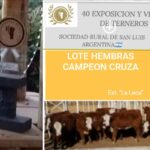 WhatsApp Image 2020-06-15 at 12.33.17 (2)