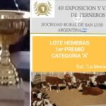 WhatsApp Image 2020-06-15 at 12.33.18