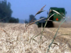 La historia la escriben los que se animan a soñar el futuro