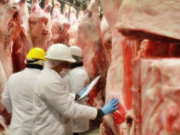 La carne no transmite Covid-19, pero garantizan productos seguros y sanos