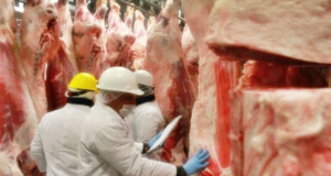 La carne no transmite Covid-19, pero garantizan productos seguros y sanos