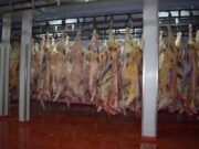 La cadena de la carne en Argentina ante la crisis del coronavirus