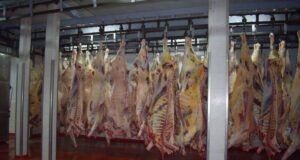 La cadena de la carne en Argentina ante la crisis del coronavirus