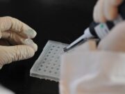Utilizan nanobiotecnología para el desarrollo de vacunas