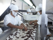 Argentina en el podio de los países que más crecieron en la exportación de pasas de uva