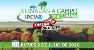 2 de julio en Río Cuarto: primera jornada ganadera virtual del IPCVA