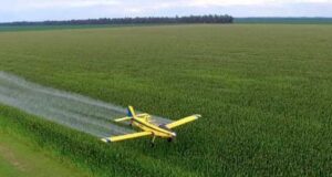 Llegó al Congreso una iniciativa para regular el uso de agroquímicos