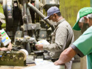 Cómo trabaja la cooperativa yerbatera de Las Tunas