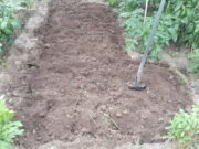 Con el invierno llegan los cuidados especiales en la huerta