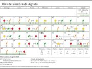 Calendario biodinámico para la siembra de Agosto 2020