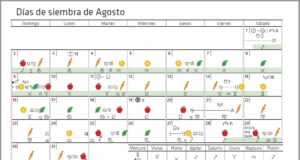 Calendario biodinámico para la siembra de Agosto 2020