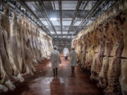 Caen en un 17% las exportaciones de carne a China