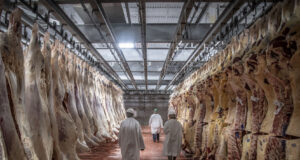 Caen en un 17% las exportaciones de carne a China