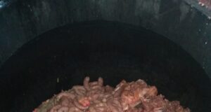 Destrucción de 188 kg de carne con triquinosis en La Pampa