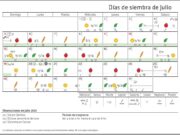 Calendario biodinámico para la siembra de julio 2020