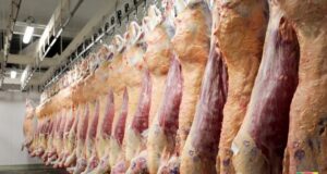 China suspendió la importación de carne de plantas de Brasil