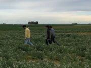 Eficaz experiencia agroecológica, con valor agregado de industrialización