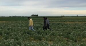 Eficaz experiencia agroecológica, con valor agregado de industrialización