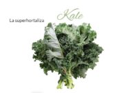 Kale, el “superalimento” que se cultiva en el cinturón verde de Mendoza