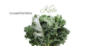 Kale, el “superalimento” que se cultiva en el cinturón verde de Mendoza