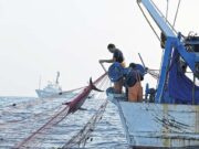 Nueva denuncia sobre pesca indiscriminada en el límite del Mar Argentino
