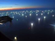 Pesca ilegal: redes confiscadas servirán al INIDEP