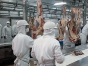 La exportación de carne a China presiona la disponibilidad local