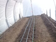 Cómo armar el sistema de riego en el invernadero