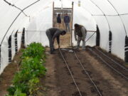 Actividades emprendidas por Agricultura Familiar de la Nación en San Martín y Ayacucho