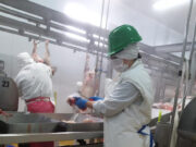 Certificaron 15 toneladas de carne ovina destinadas a Japón