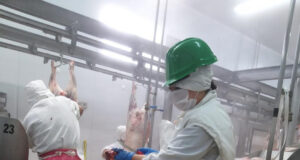 Certificaron 15 toneladas de carne ovina destinadas a Japón